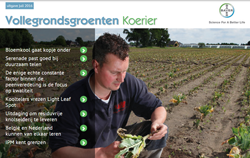 Vollegrondsgroenten Koerier