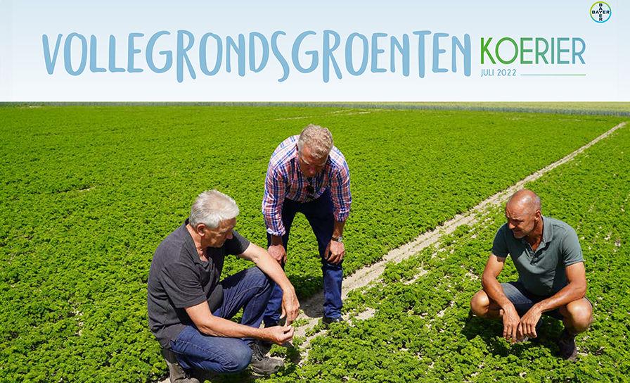 Vollegrondsgroenten Koerier 2022