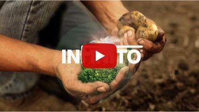 InFinito teaser video 2024
