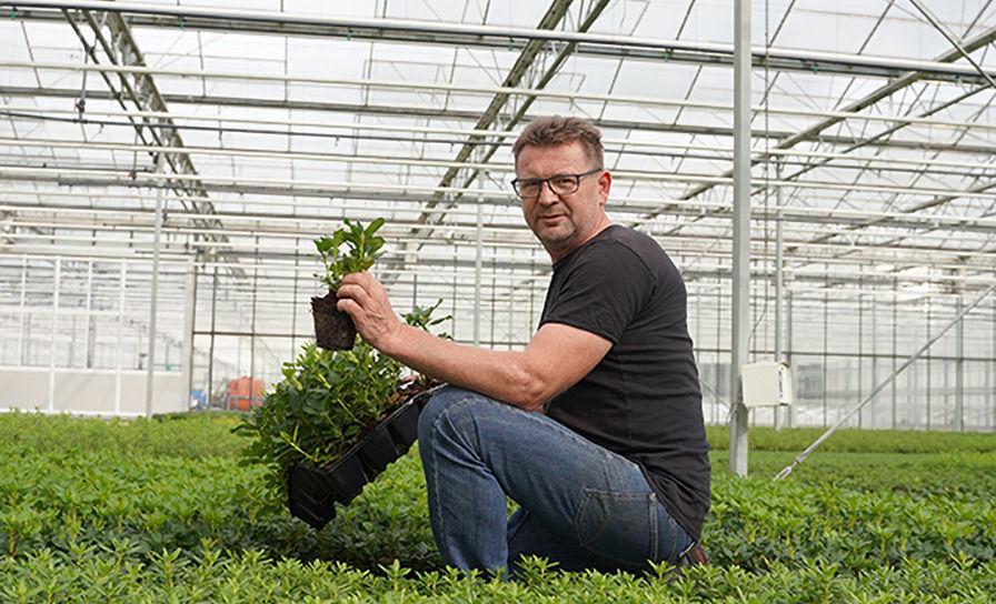 Raymond Haarman - Continu blijven werken aan weerbare planten