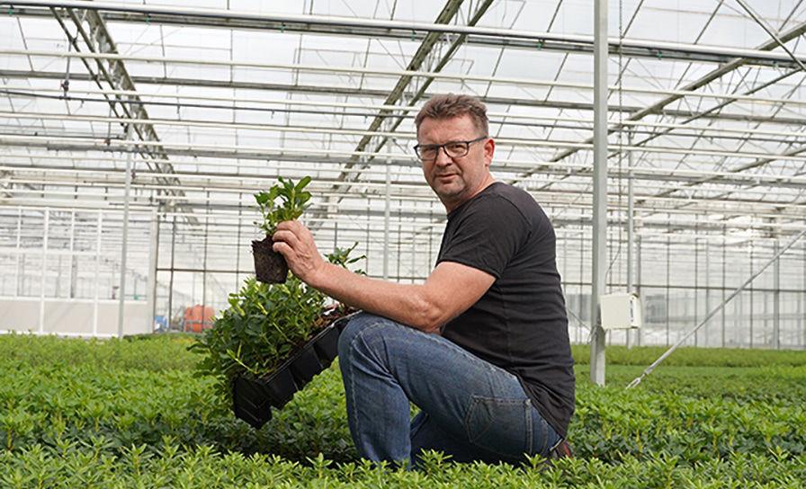 Continu blijven werken aan weerbare planten