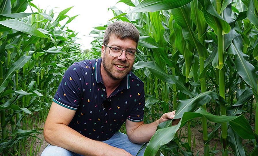 MAÏS - "Bestrijding gladvingergras wordt komend seizoen nog ingewikkelder"