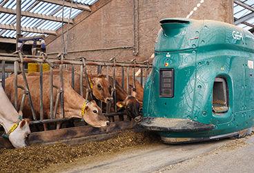 Voerrobot brengt rust en vrijheid