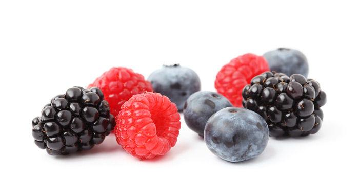 Bayer Crop Science aanwezig op de Landelijke Klein- & Steenfruitdag