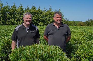 Phytophthora: als het eenmaal in de wortel zit, ben je te laat