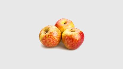 Oplopende temperaturen, bestrijd nu de appelbloesemkever