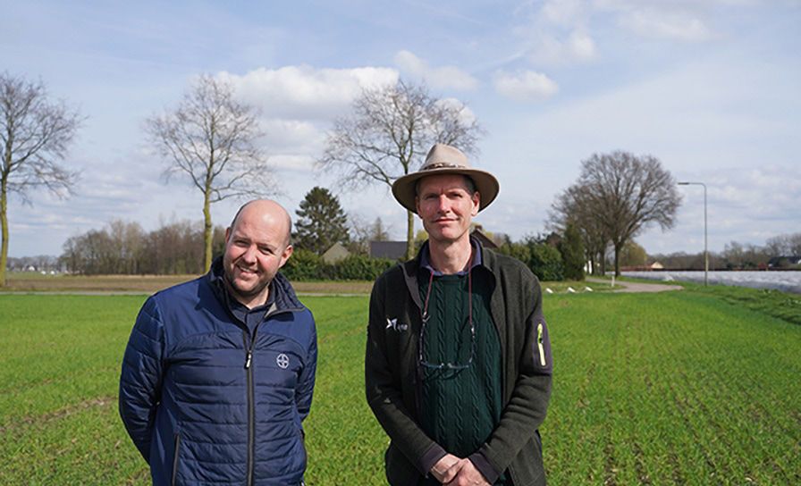 Resistent Engels raaigras in bouwplanverband aanpakken 