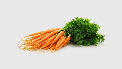 Zevenbladluis in wortelen: tijdig herkennen en gericht bestrijden