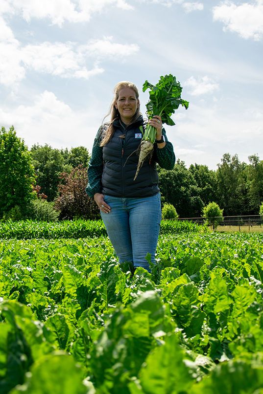 Conviso is een volwassen systeem geworden