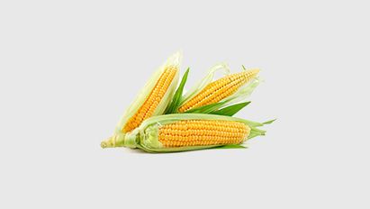 DKC3323 wederom Nieuw Aanbevolen op de Aanbevelende Rassenlijst 2026