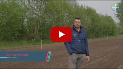 Alle adviezen op een rijtje, mais onkruidbestrijding 2023 van start!