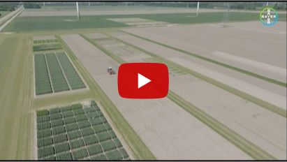 [IMPRESSIE] Grote diversiteit op Bayer Crop Science demoplatform in Lelystad