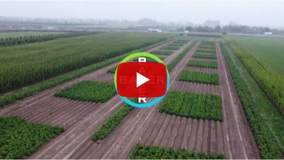 DJI Spuittechniek - Future of Farming video