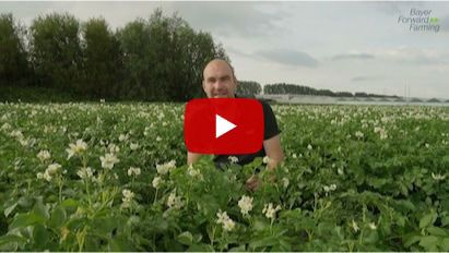 Boer on tour deel 4: phytophthora bestrijding