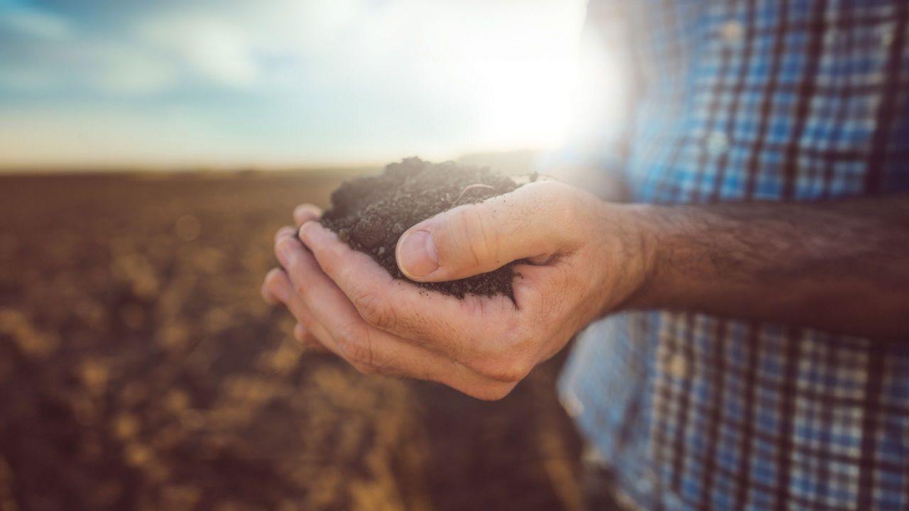 De stille revolutie in gewasbescherming