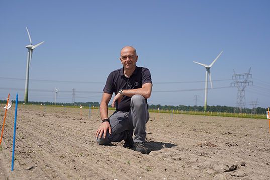 Houd de tripspopulatie in uien laag, nu dat nog kan