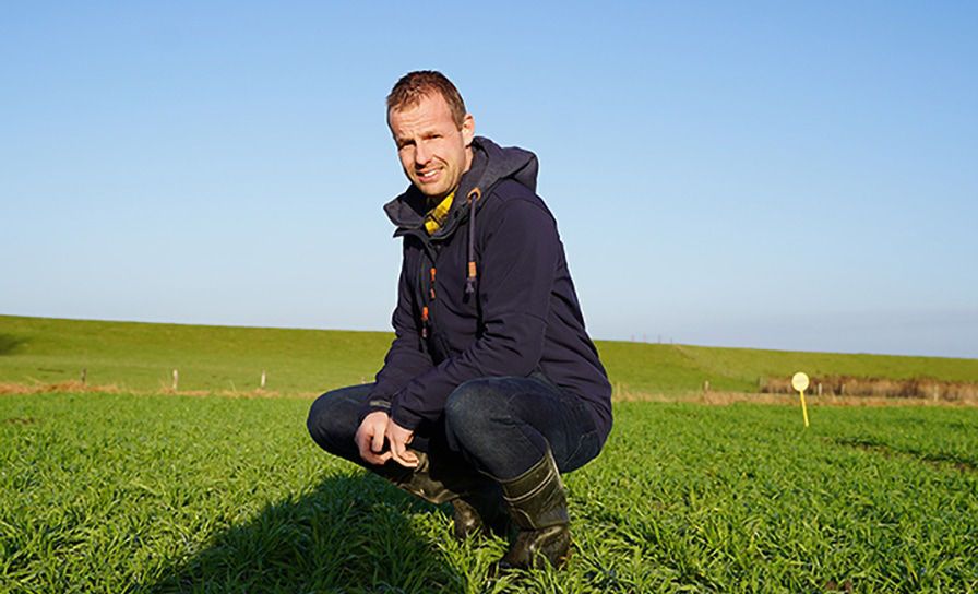 GRANEN: "Waarde van tarwe is groter dan alleen korrelopbrengst" 