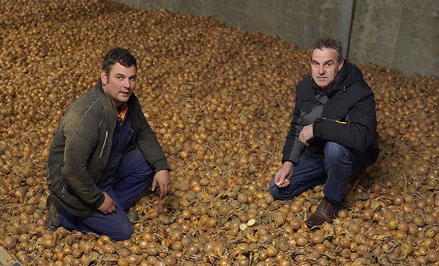 UIEN - "Uienteelt zit diep in ons DNA"