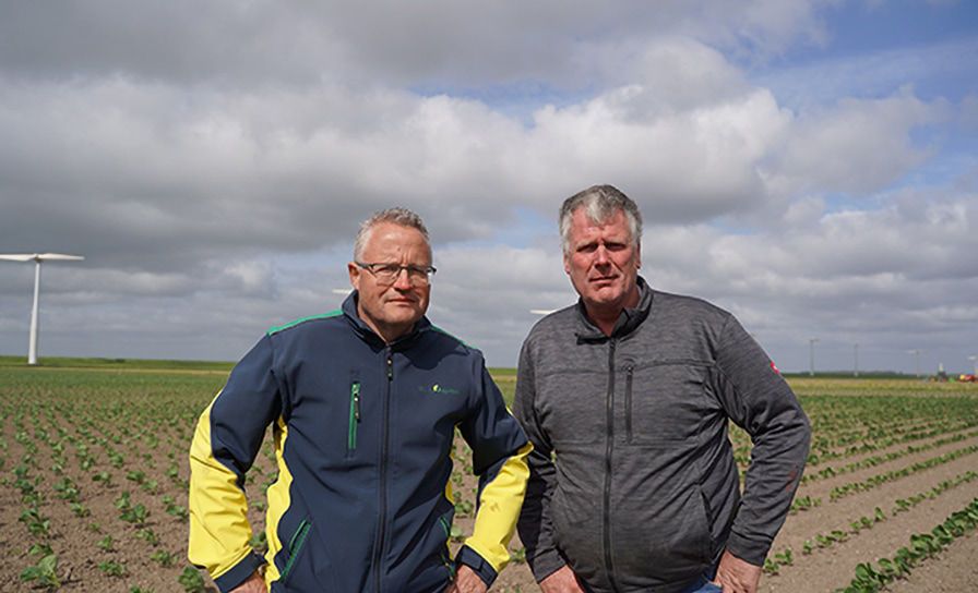 "Insectenbeheersing in spruiten wordt een steeds grotere opgave" 