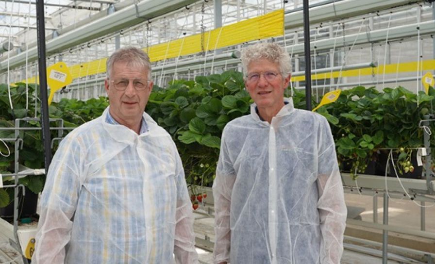 Varenrouwmug vraagt steeds meer aandacht 