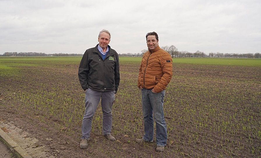 MAÏS - "Onkruidbestrijding in maïs zorgt voor extra schoon bouwplan" 