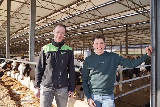 Maïsteelt in eigen hand