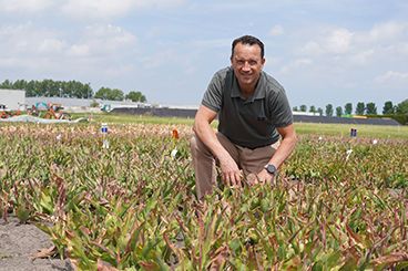 De Groene Tulp: werken aan een duurzaam en houdbaar teeltsysteem