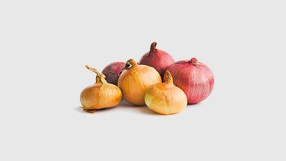 Een effectieve strategie tegen bodemgebonden ziekten in de teelt van zaaiuien