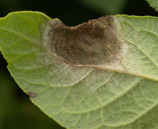 Wissel middelen af en maak gebruik van een BOS-systeem