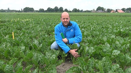 Spuitschema met Propulse geeft hoogste rendement