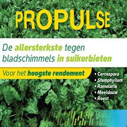 Propulse: onmisbare schakel in de bietenteelt