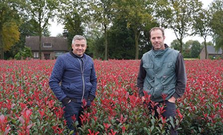 Groen schema doet niet onder voor chemisch schema