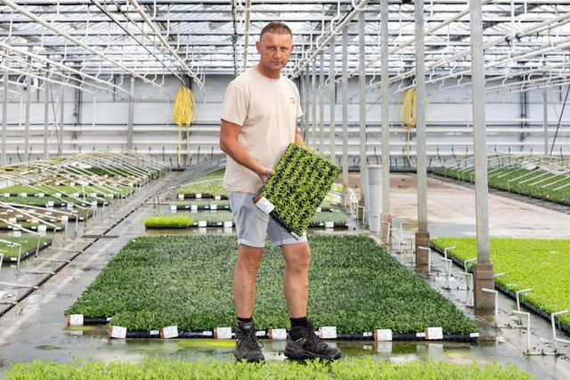 ‘Met Serenade houden we de schimmels onder controle’