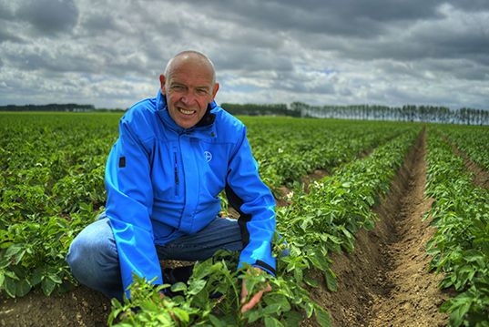 "Phytophthora-middelen afwisselen nu meer dan ooit van belang" 