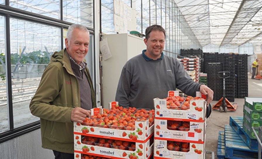 Vlotte start tijdens de opkweekfase 