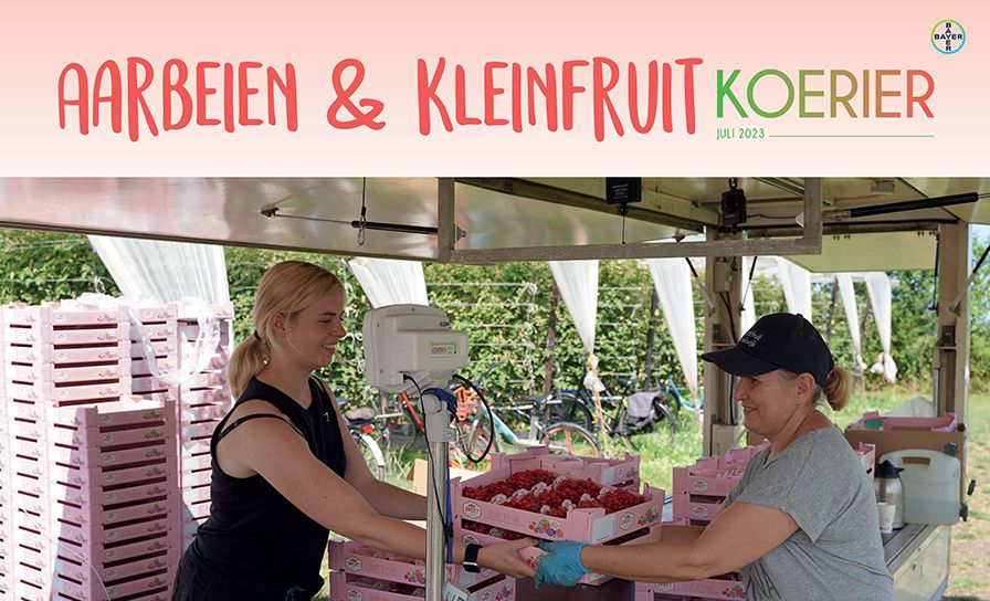 Aardbeien en Kleinfruit Koerier Juli 2023