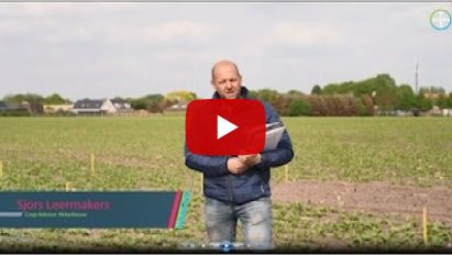 Eerste resultaten van onkruidbestrijding in bieten 2022