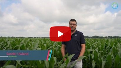 Mooie proefresulaten bij de onkruidbestrijding in maïs en een duidelijke boodschap.'