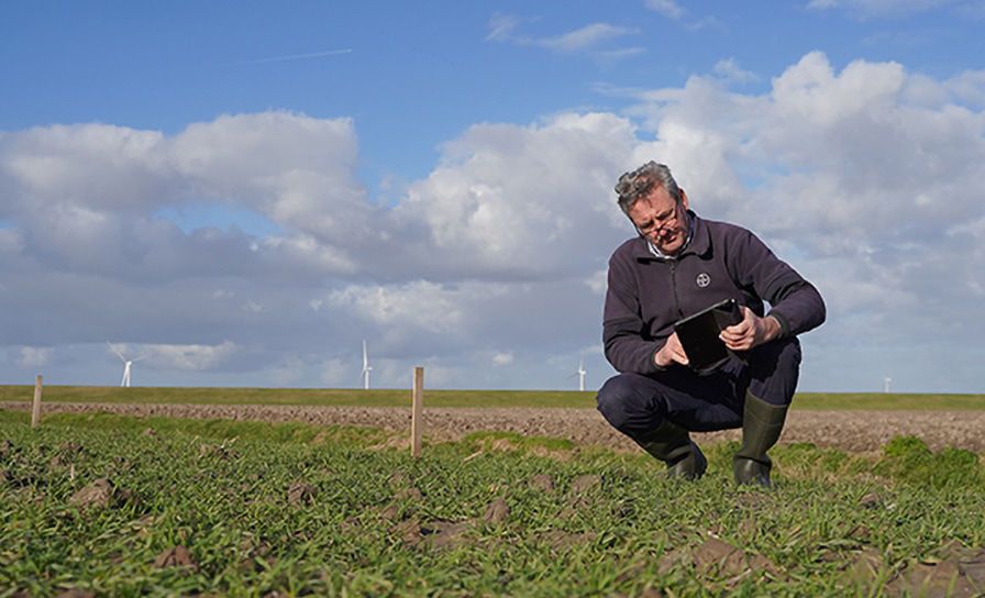 PROEVEN - "Onkruid spuiten achter de dijk" 