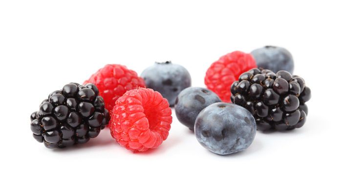 Bayer Crop Science aanwezig op de Landelijke Klein- & Steenfruitdag